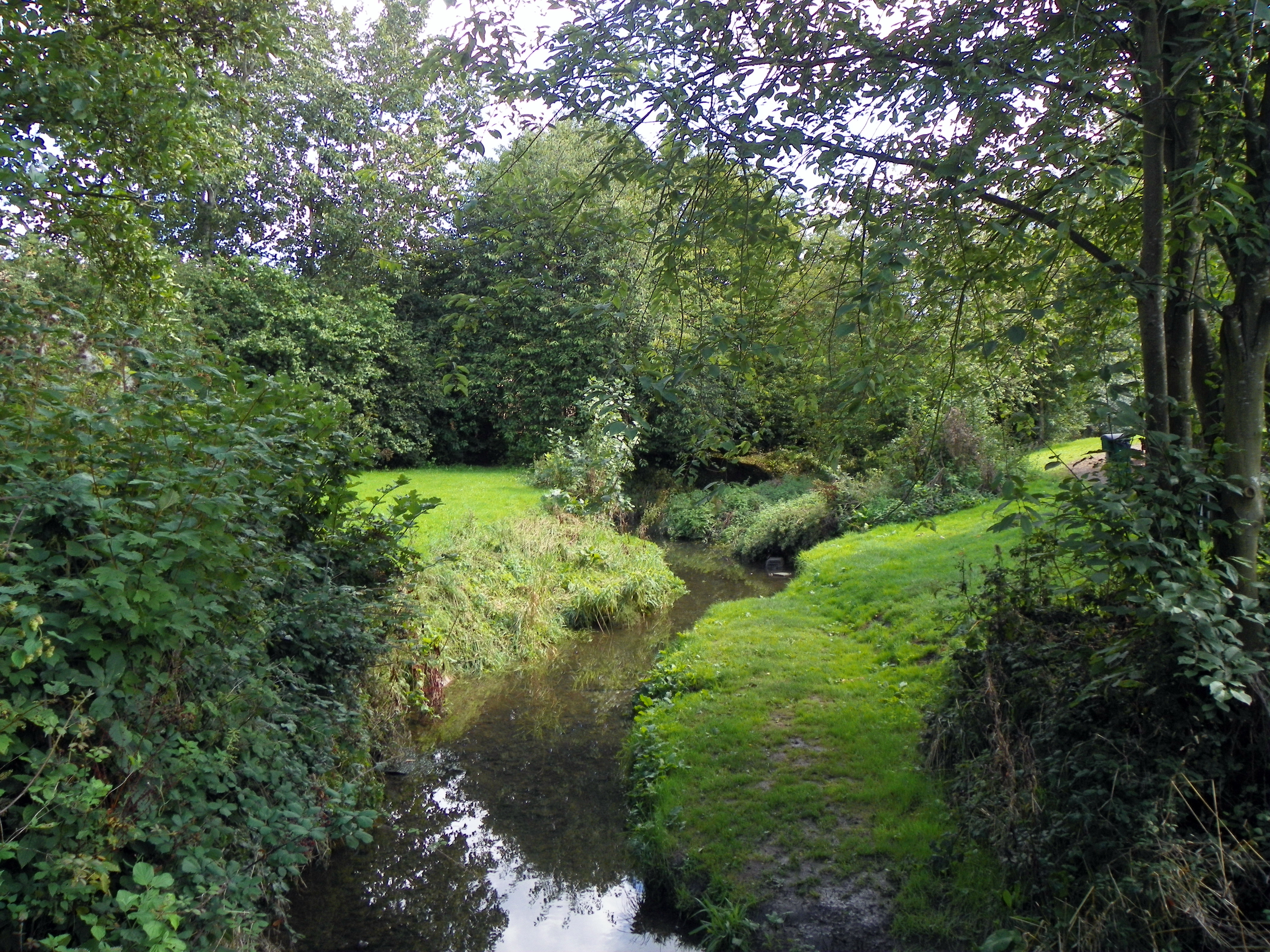 Река англии 4. Aldenham Park фото. Эр Уотер в стаере. The Aldenham Country Park is a large and Pleasant.