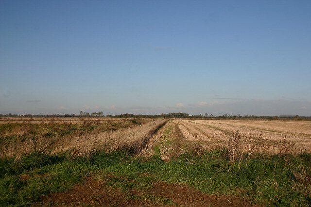 File:Upper Mill Drain - geograph.org.uk - 271793.jpg