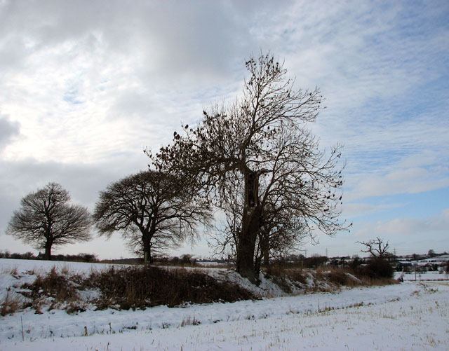File:Wintry fields by Caistor St Edmund - geograph.org.uk - 1656748.jpg