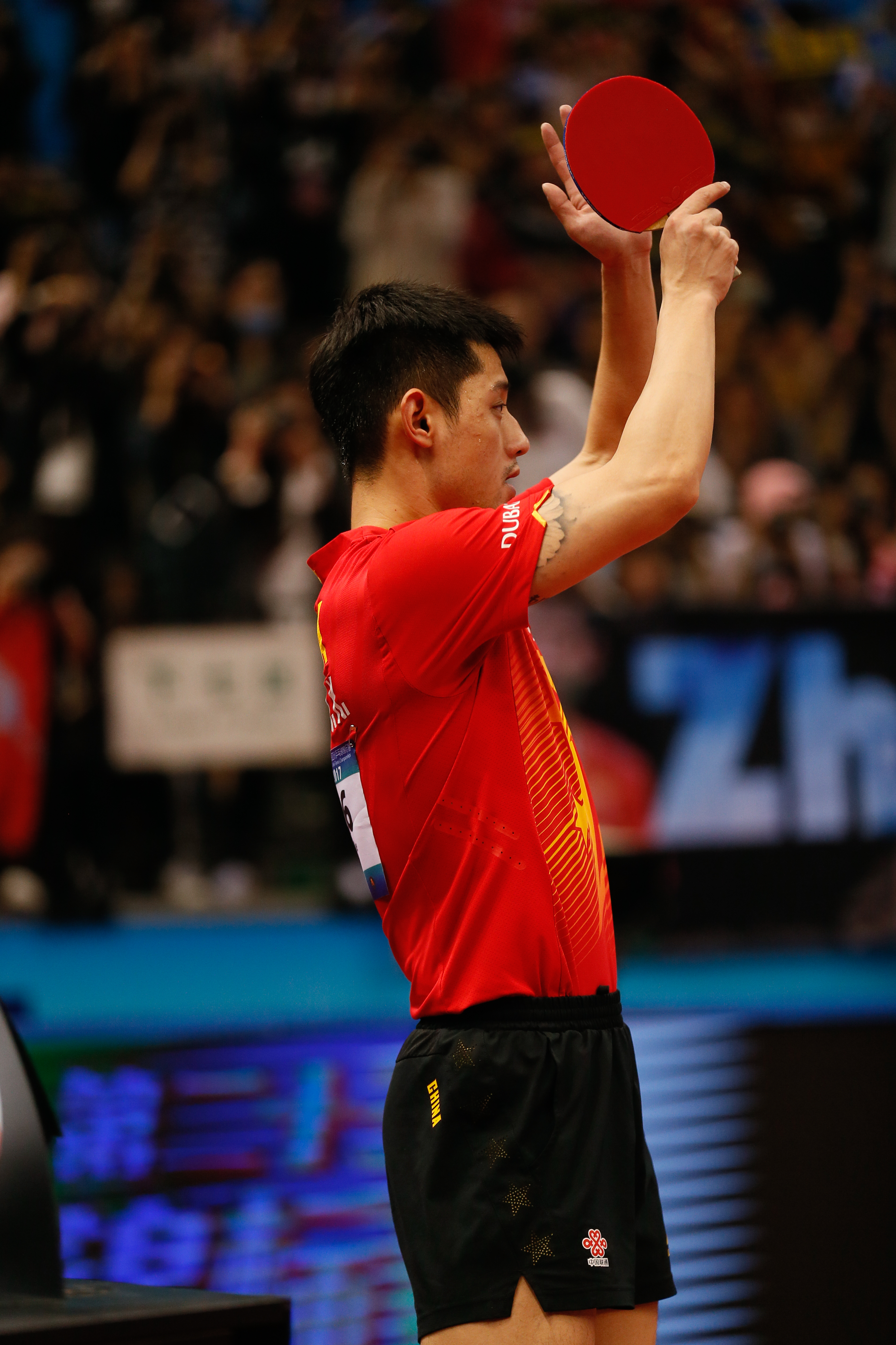 Zhang Jike