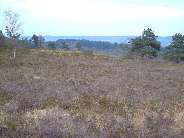 Aylesbeare Common