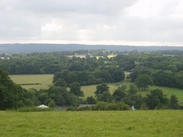 File:Bassett's Manor fields - geograph.org.uk - 57026.jpg