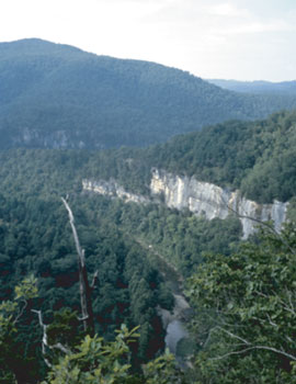 File:BuffaloRiver.jpg