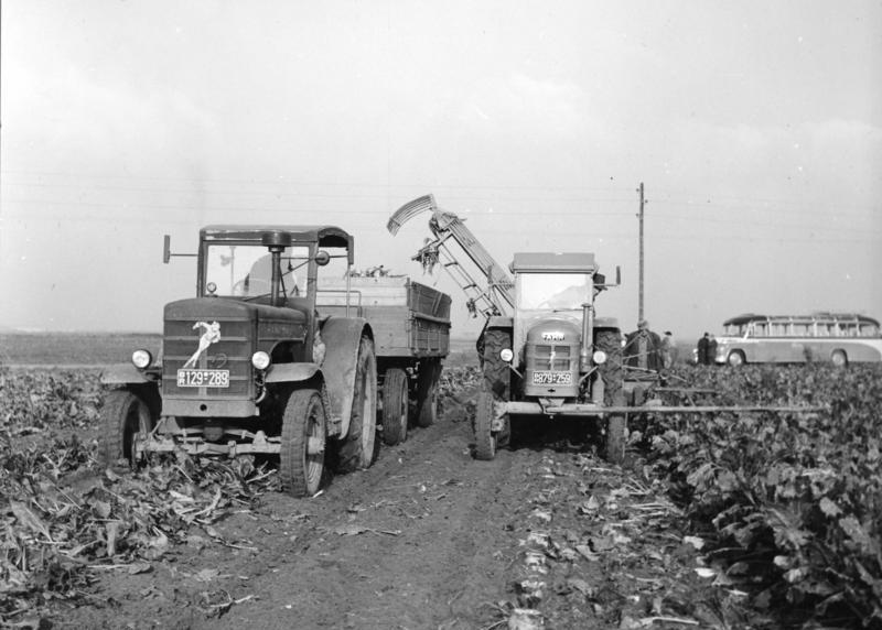 File:Bundesarchiv B 145 Bild-P012106, Jülich, Zuckerrübenernte.jpg