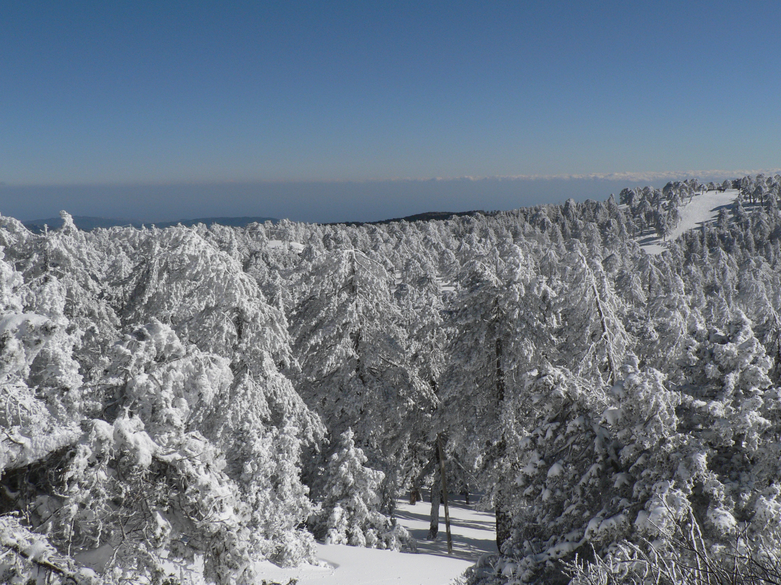Image result for pegunungan troodos cyprus winter
