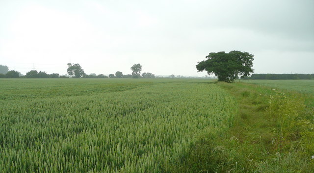 File:Clearing after rain - geograph.org.uk - 843881.jpg