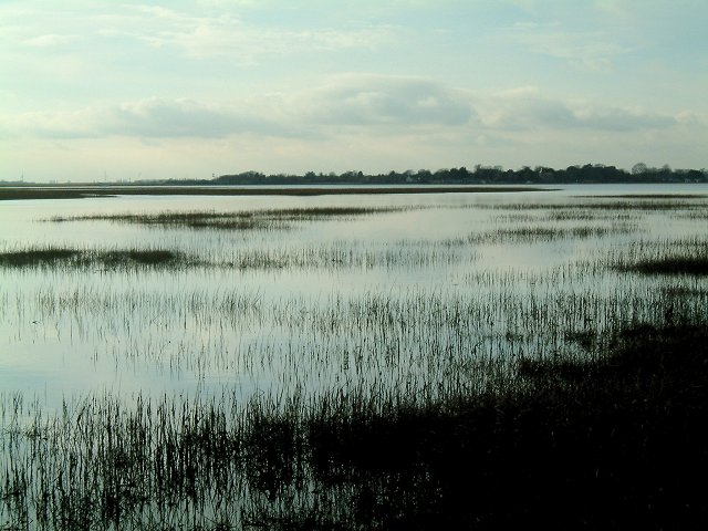 File:Coastal mudflats - geograph.org.uk - 124885.jpg