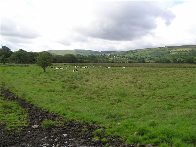 File:Countryside near Drumquin - geograph.org.uk - 1404782.jpg