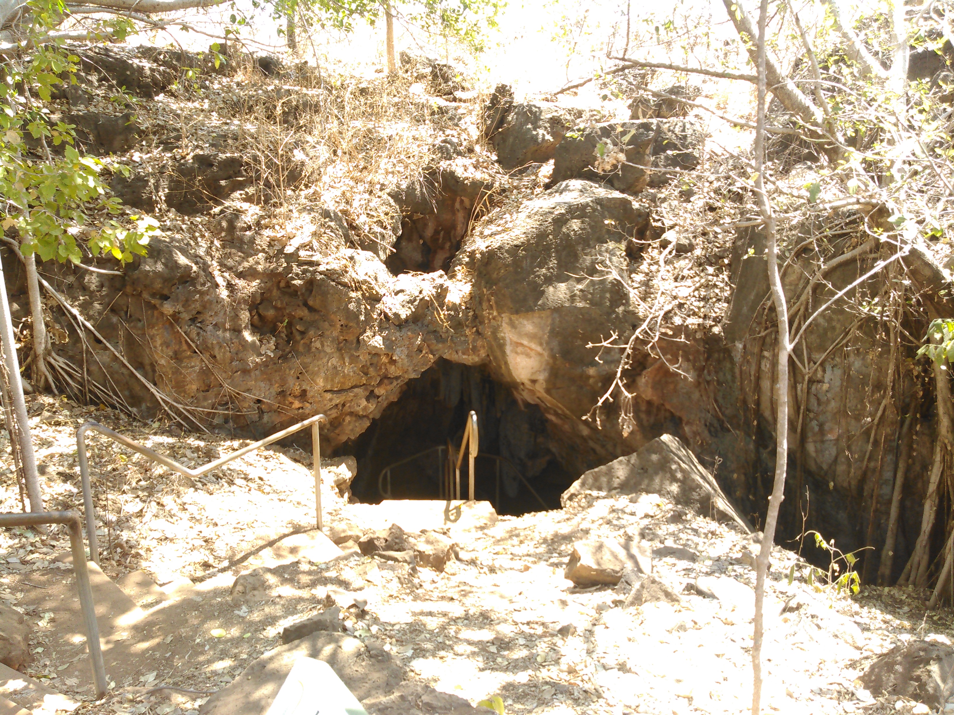 Cutta Cutta Caves Nature - Wikipedia