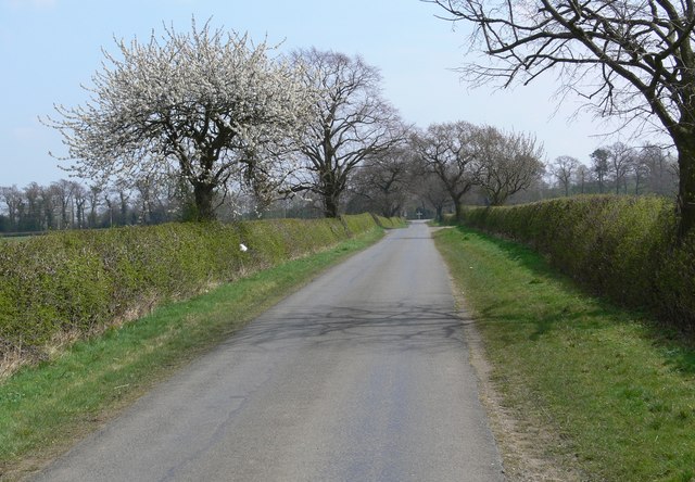 File:East along Sawgate Road - geograph.org.uk - 776242.jpg