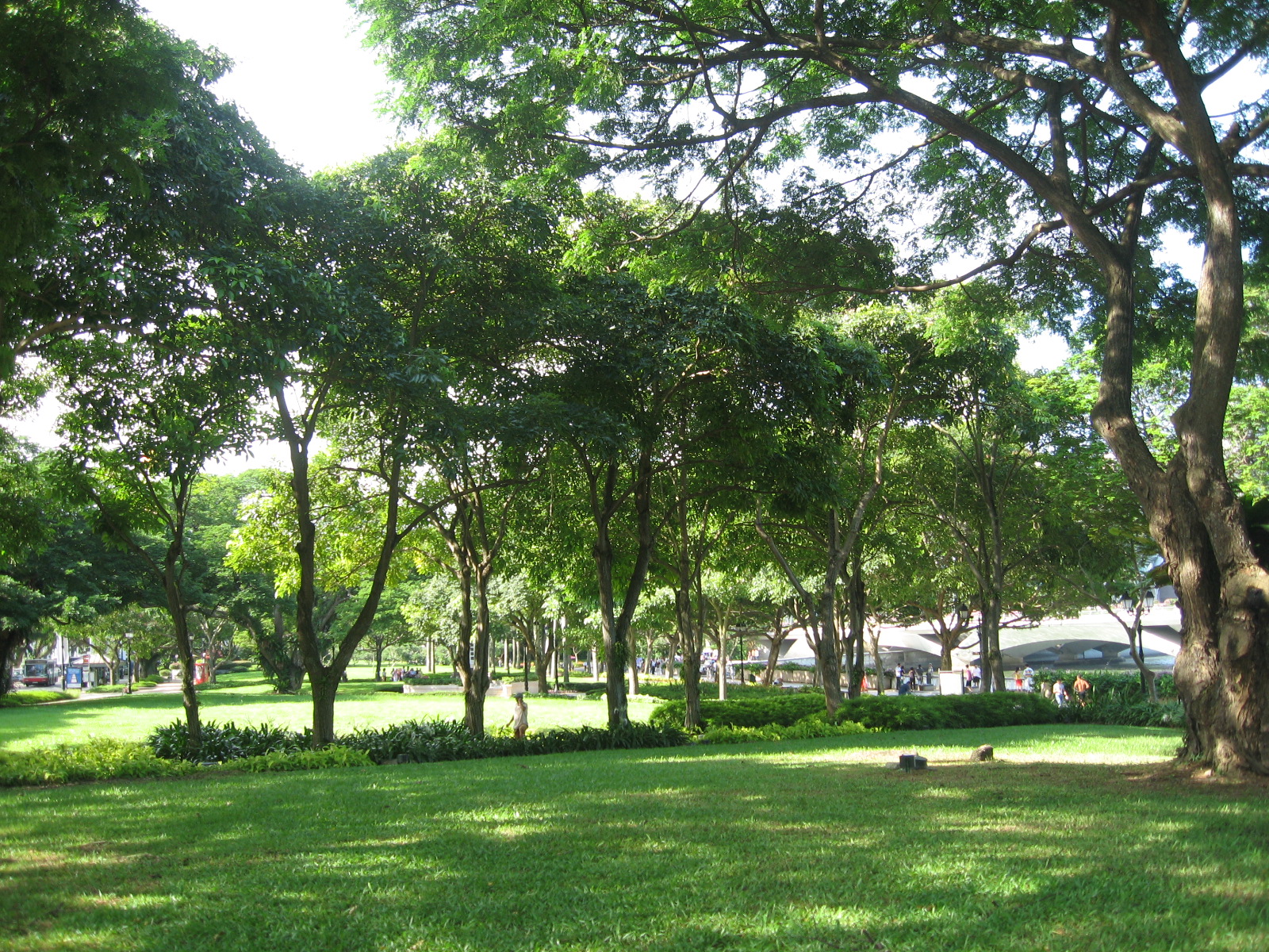 Esplanade Park 4