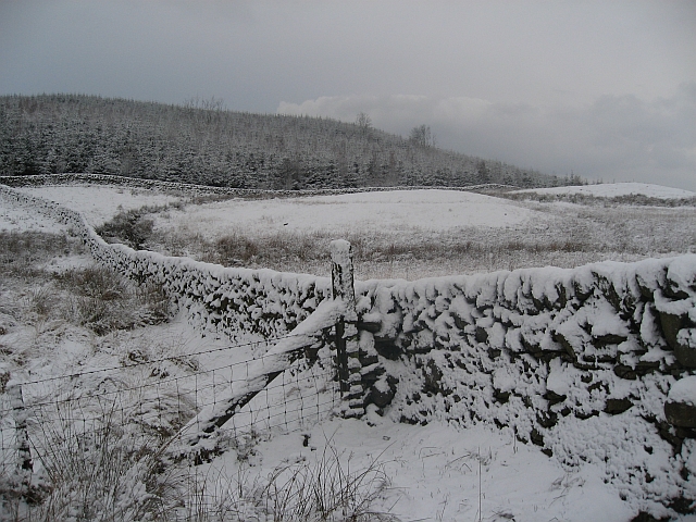 File:Fields and Forest after a snowfall - geograph.org.uk - 648695.jpg