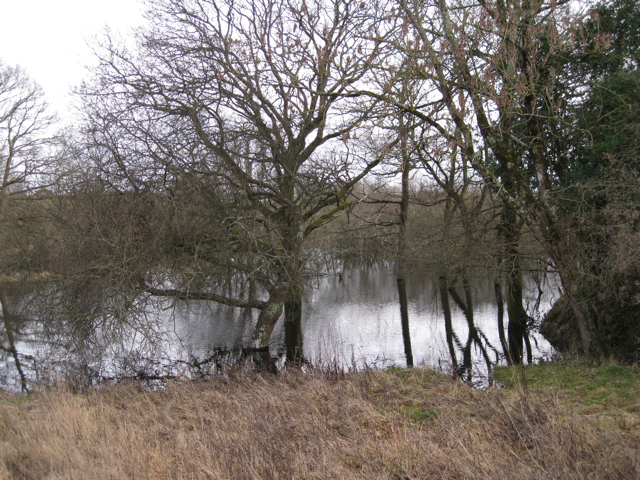 File:Flooded claypit, New Cross, Kingsteignton - geograph.org.uk - 1743818.jpg