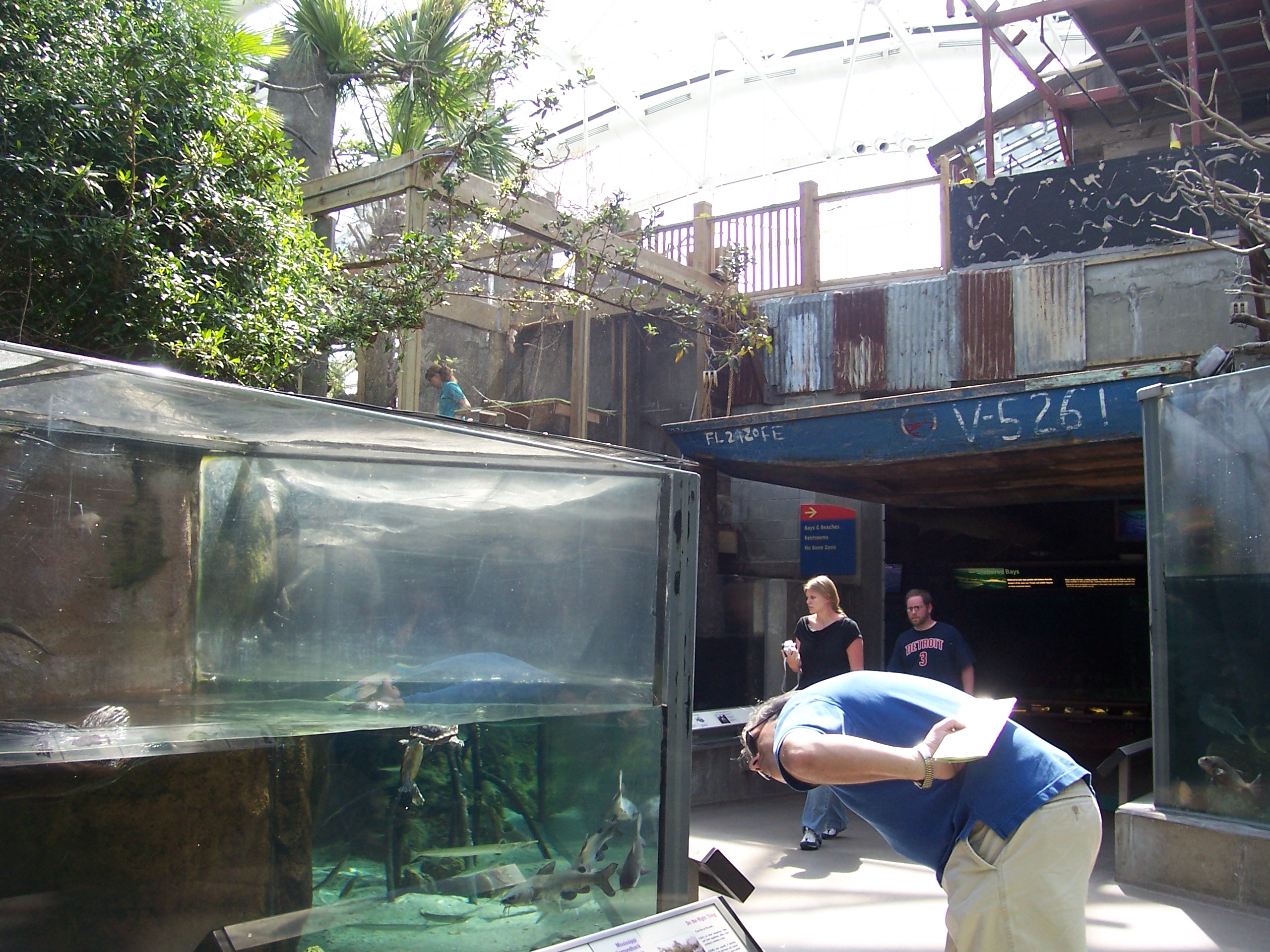 File:Florida Aquarium.jpg - Wikipedia