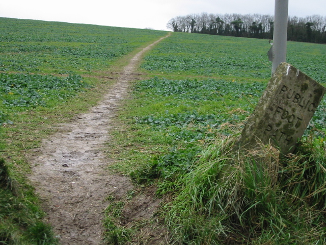 File:Footpath to Ringwould from the Ripple Road - geograph.org.uk - 660556.jpg