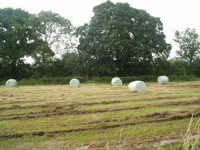 File:Haylage bales at Blue Slates Farm - geograph.org.uk - 496888.jpg