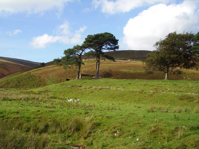 File:Hillfort, Kingledoors - geograph.org.uk - 248013.jpg