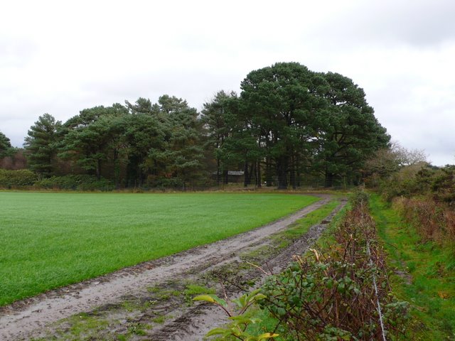 File:Jubilee Trail - geograph.org.uk - 1594400.jpg