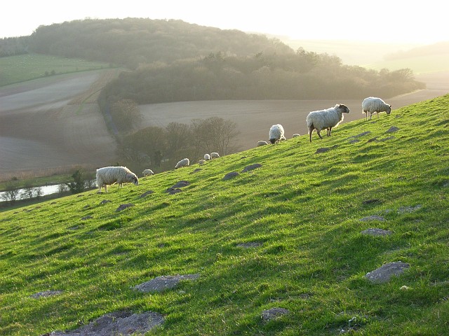 File:Kingstanding Hill - geograph.org.uk - 721539.jpg