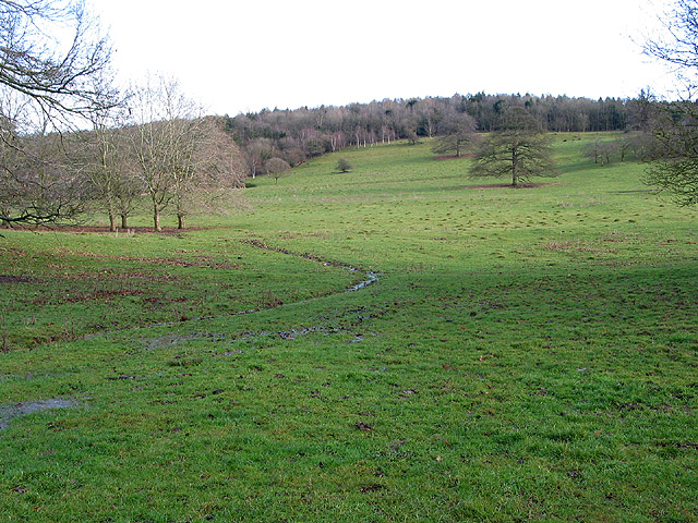 File:Looking east from The Southend, Ledbury Park - geograph.org.uk - 655790.jpg