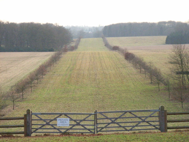 File:Looking south in Windsor Great Park - geograph.org.uk - 110914.jpg
