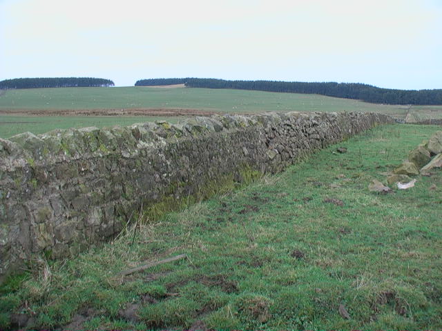 File:Masonry wall near Old Middlemoor - geograph.org.uk - 1091758.jpg