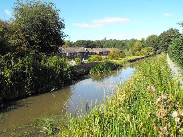 Montgomery Canal, Berriew - geograph.org.uk - 1481777