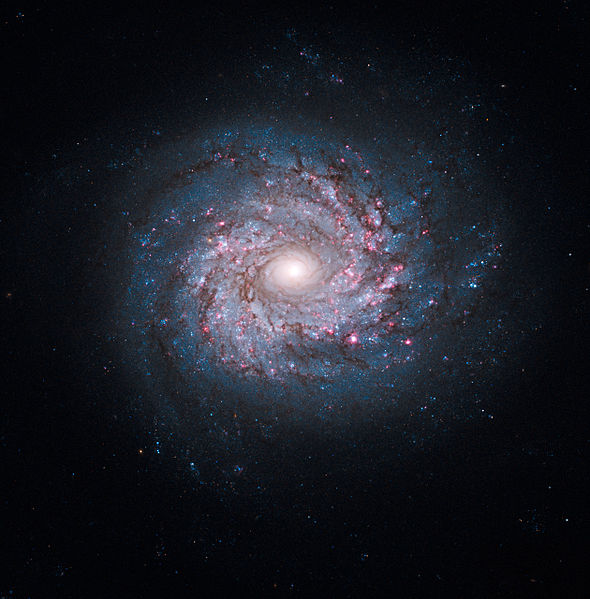 File:NGC 3982.jpg