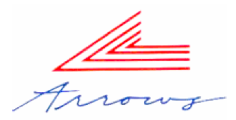 File:NY Arrows logo.png