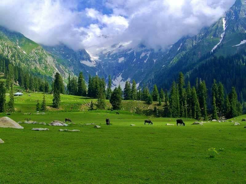 File:Natural scenery in Kumrat Valley.jpg