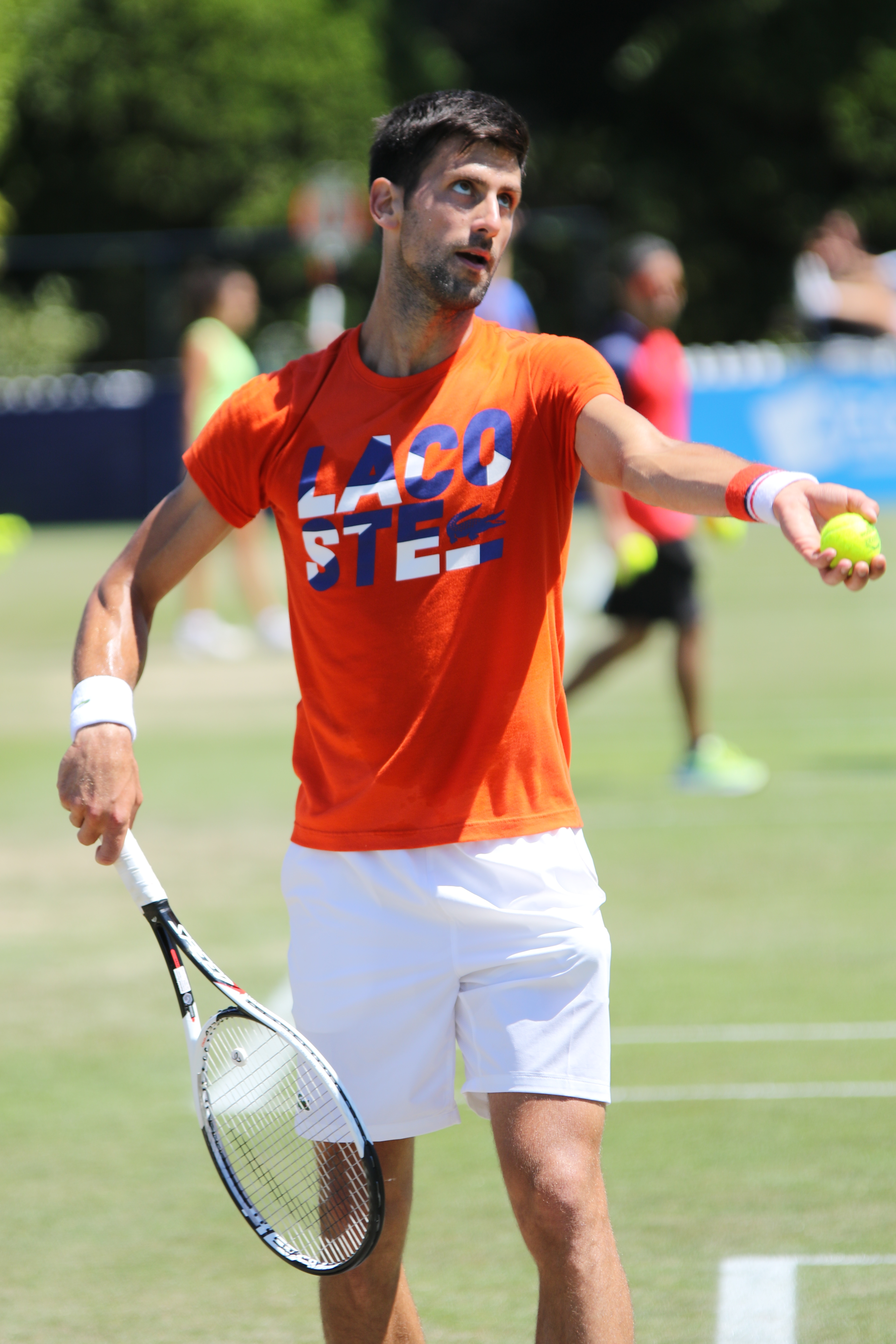 Novak Djokovic