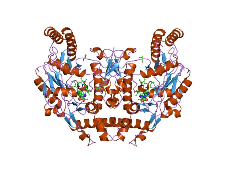 File:PDB 1om4 EBI.jpg