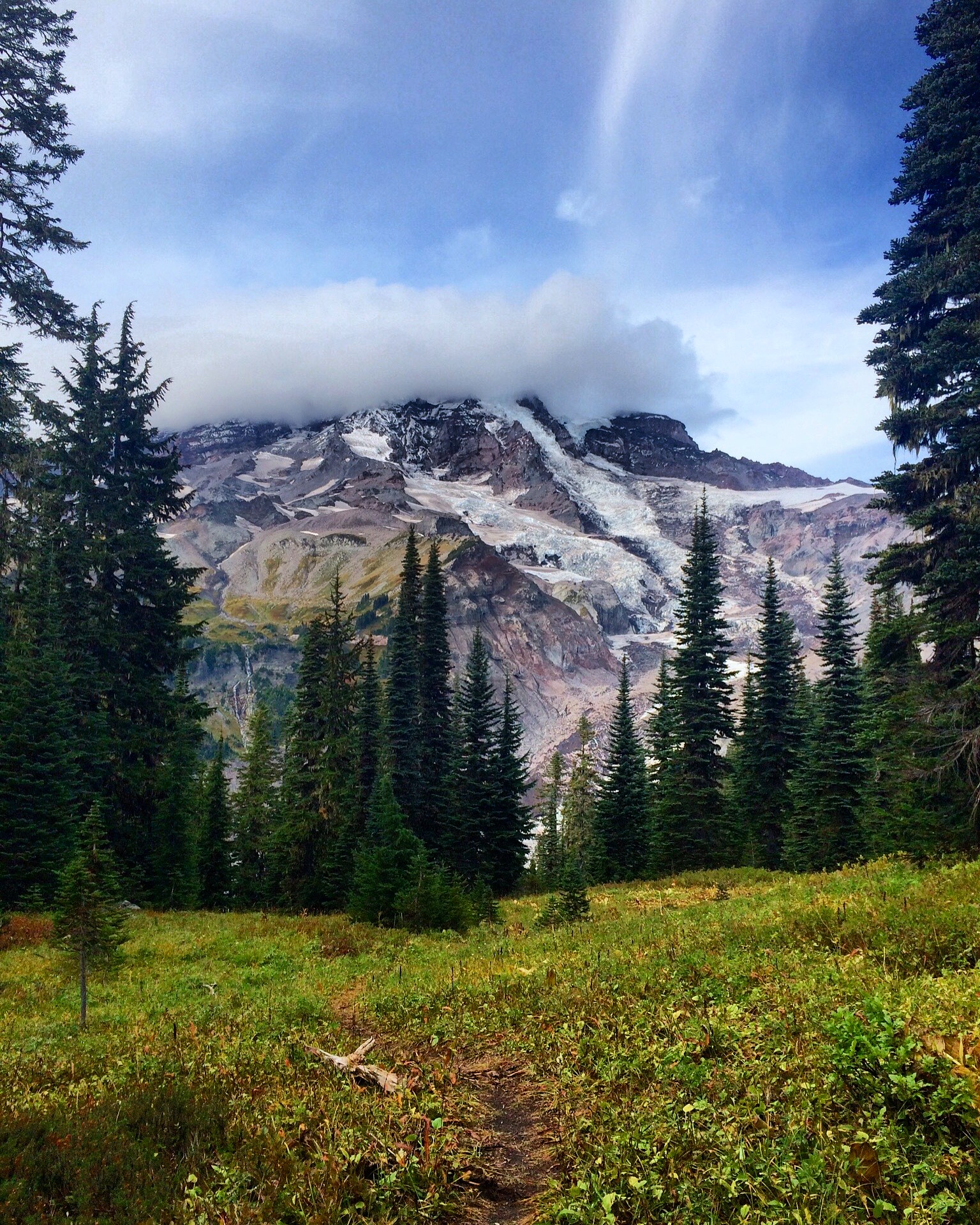 Paradise%2C_Mount_Rainier%2C_Washington