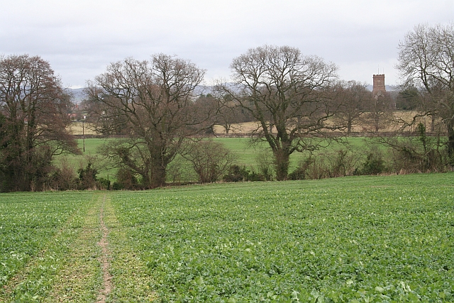 File:Path to St Bartholomew's Church - geograph.org.uk - 723654.jpg