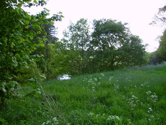 File:Reigh Pond West - geograph.org.uk - 447953.jpg
