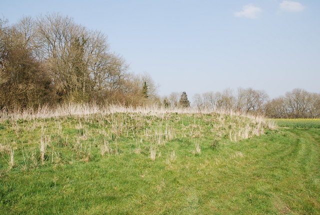 File:Reservoir by Whitmarsh Wood - geograph.org.uk - 384323.jpg