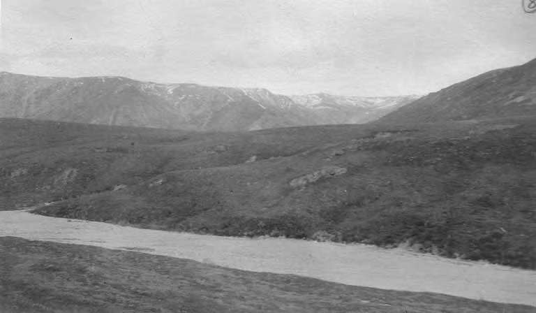 File:River, probably Nenana River, Alaska, 1914 (AL+CA 4047).jpg