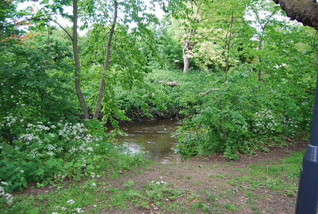 File:River Ravensbourne - geograph.org.uk - 3168404.jpg