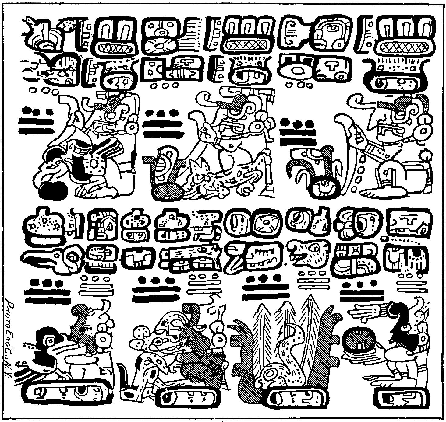 mayan animal symbol