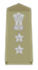 SSP Insignia.png