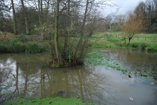 File:Small pond by Stoneacre Lane - geograph.org.uk - 1614730.jpg