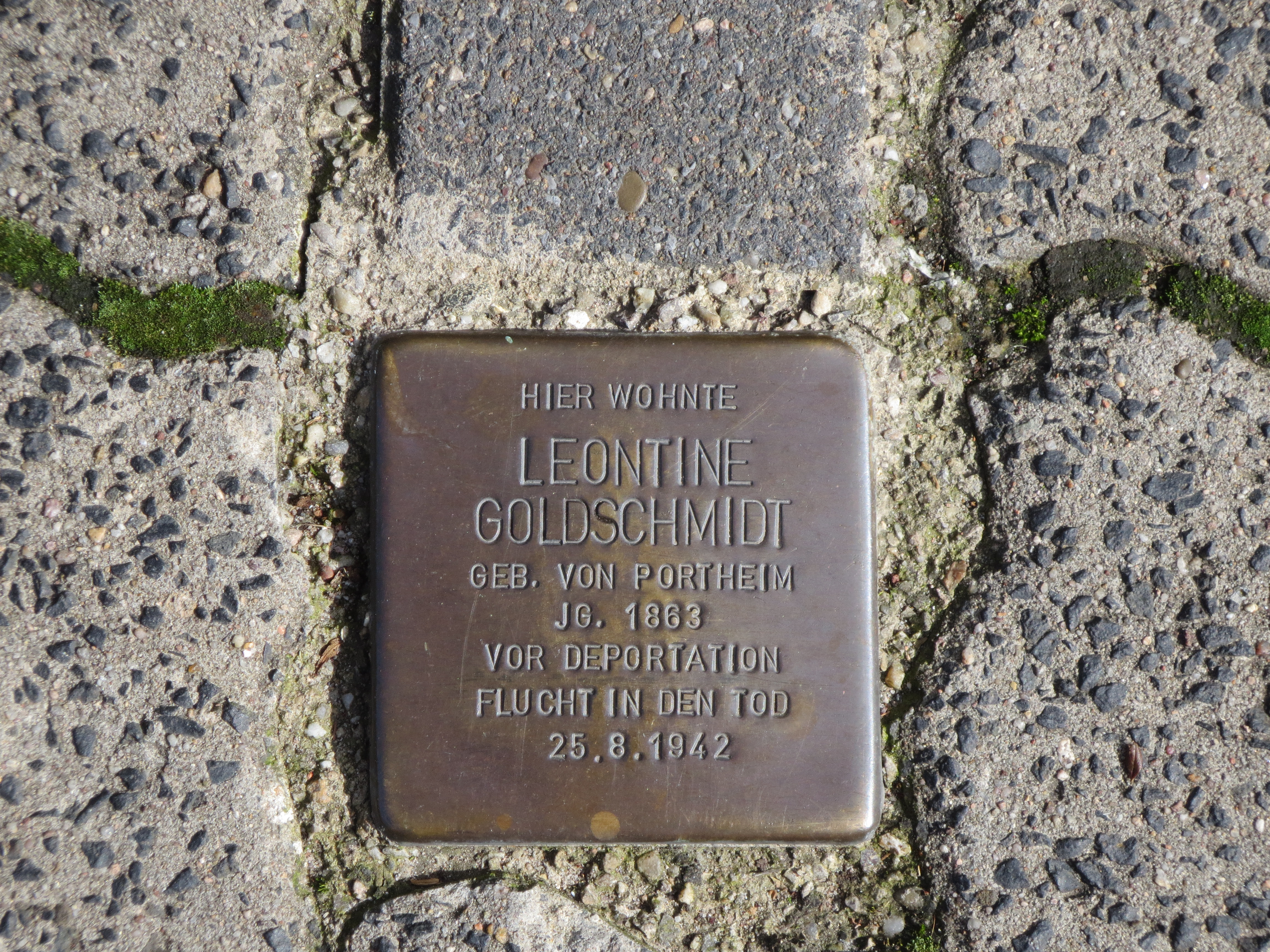 Stolperstein für Leontine Goldschmidt in Heidelberg.JPG