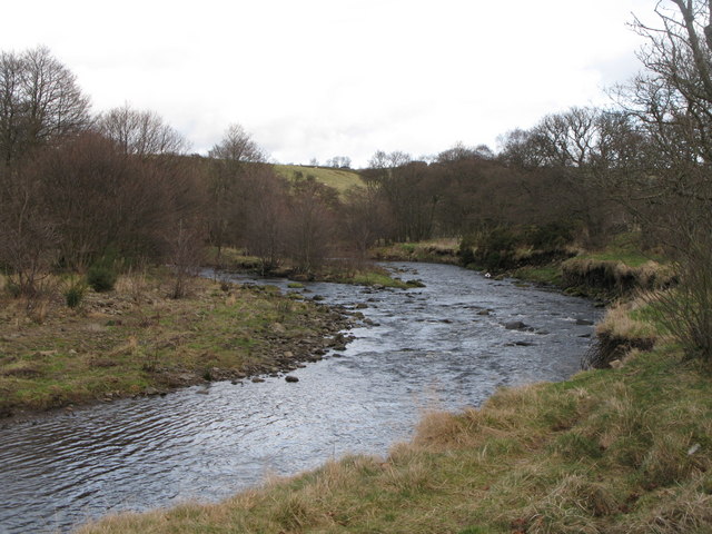 File:The River East Allen (6) - geograph.org.uk - 716012.jpg