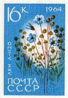 File:The Soviet Union 1964 CPA 3062 stamp (Agricultural Crops of the USSR. Flax or common flax 'L 1120' (Línum usitatíssimum)) small resolution.jpg