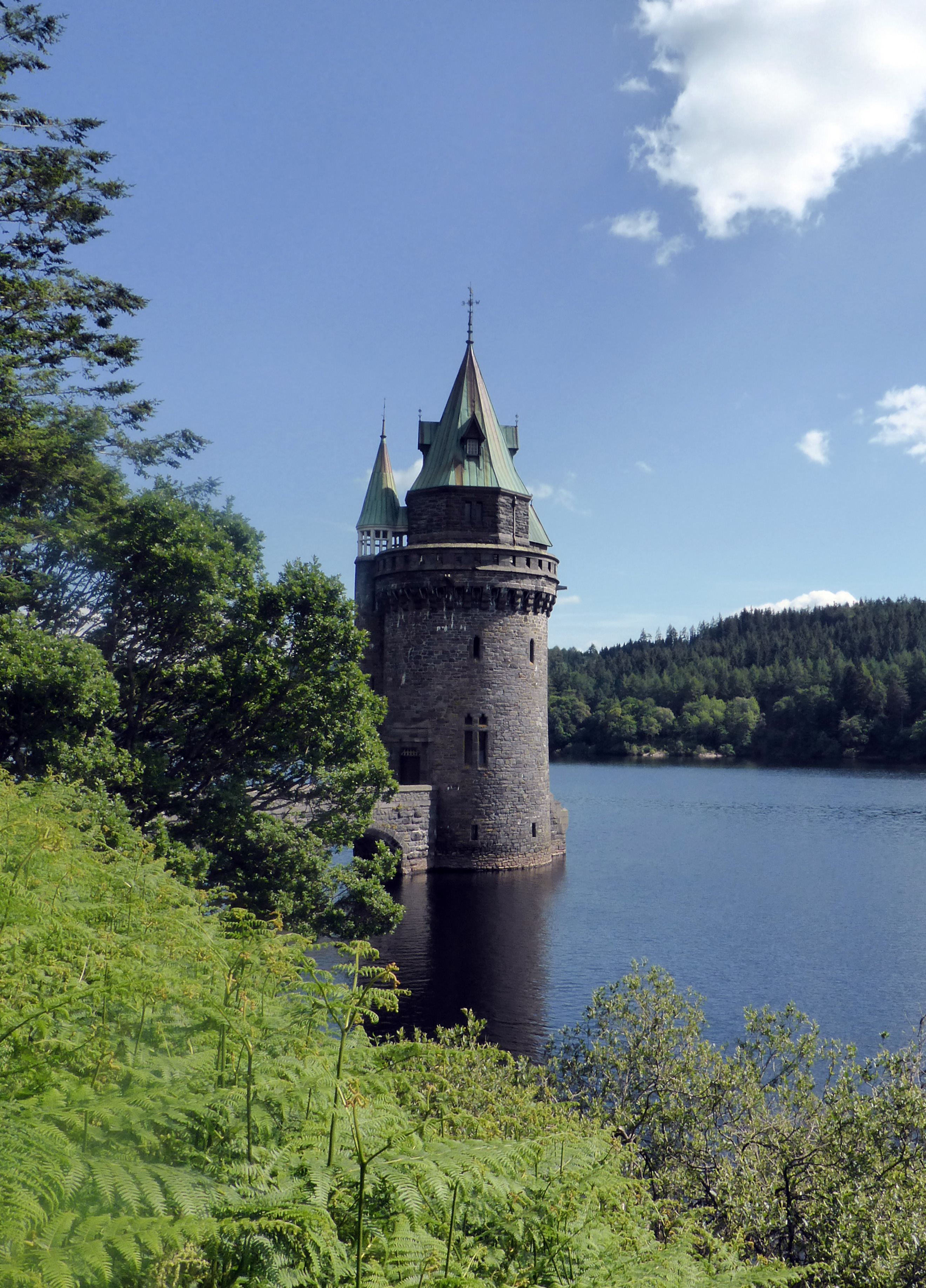 Краткое содержание озеро башня