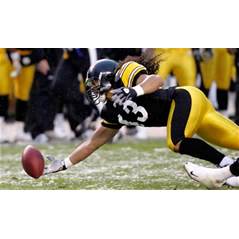 Troy Polamalu - Wikipedia