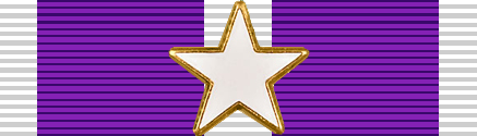 Purple Heart Medal Ribbon