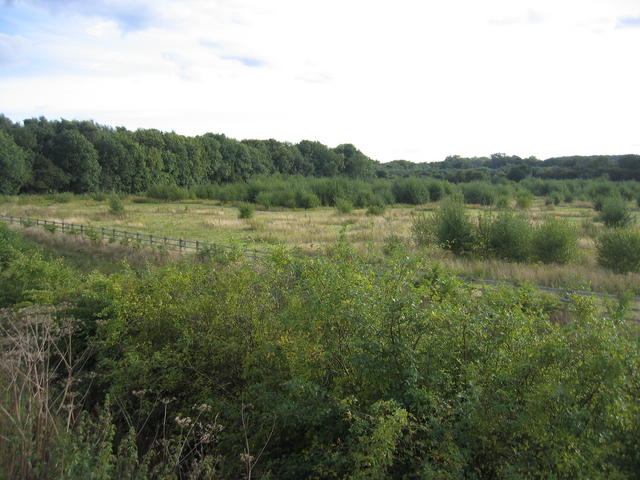 File:View from Bermuda - geograph.org.uk - 227092.jpg