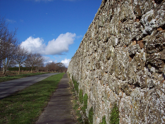 File:Wall along Upperton Road, Tillington - geograph.org.uk - 353408.jpg