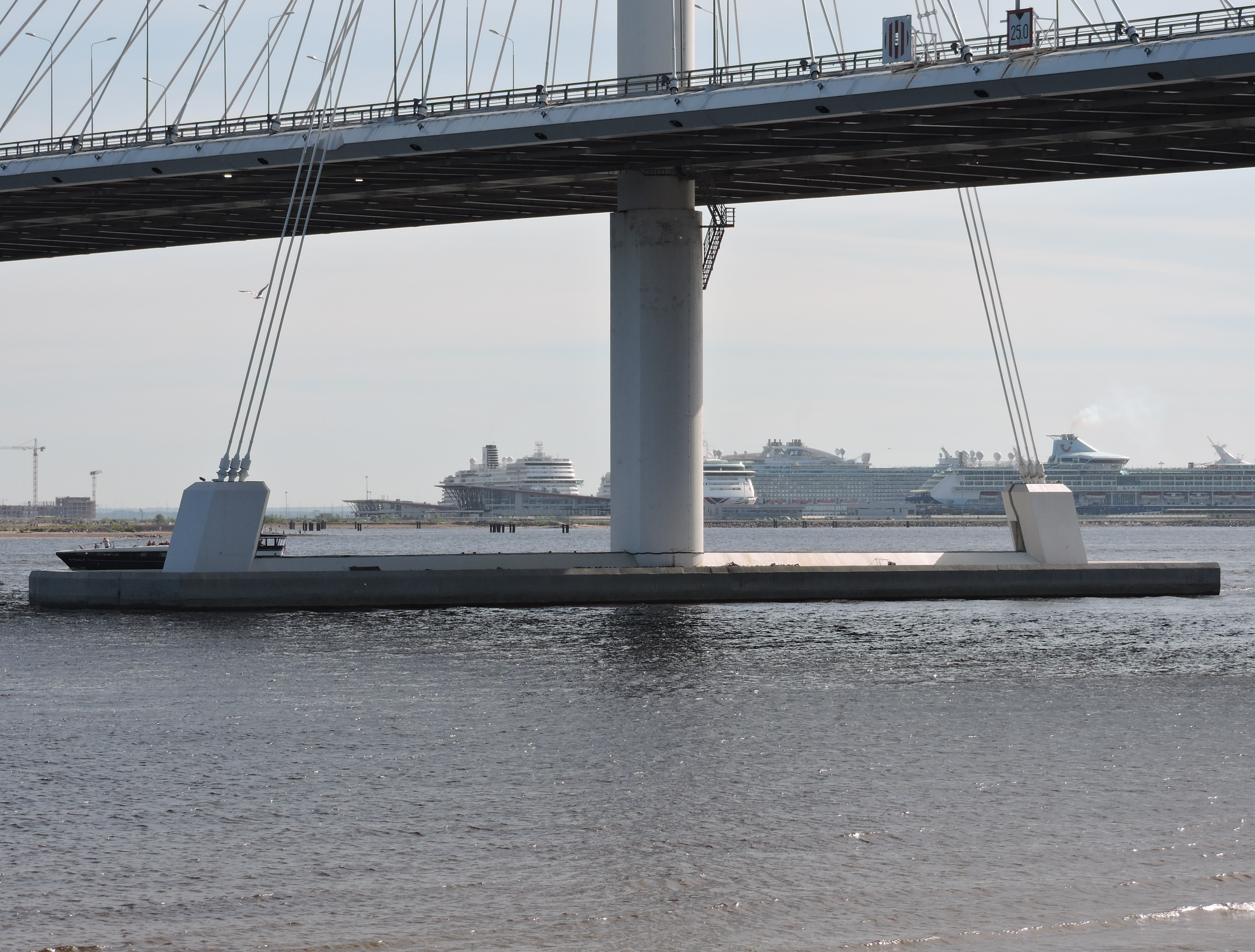 петровский мост в петербурге